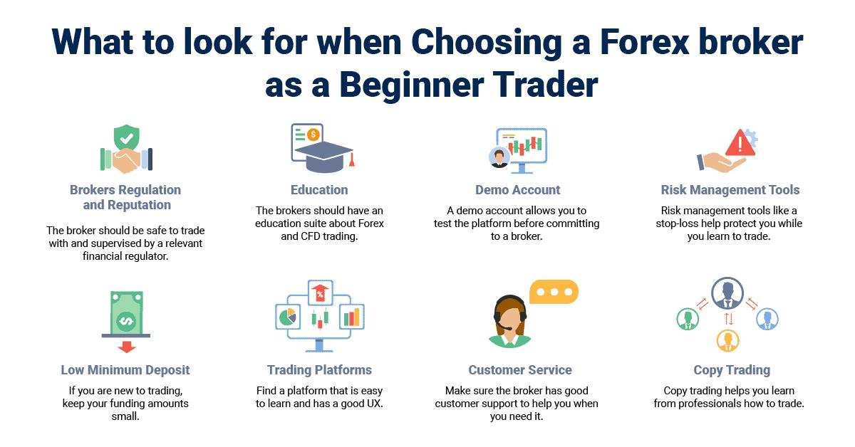 How to Choose the Best Forex Broker for Beginners: A Complete Guide