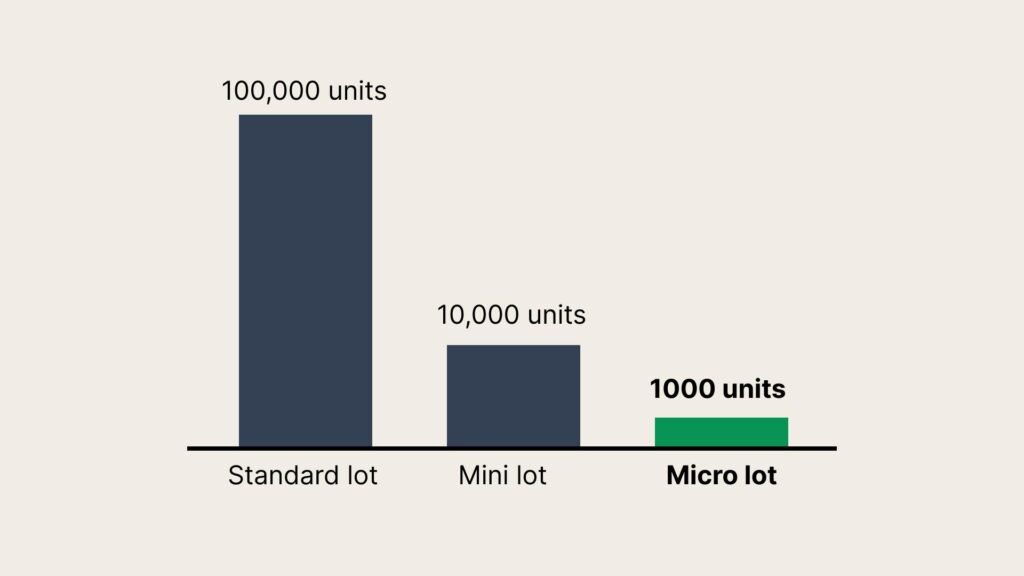 Comparison of standard, mini, and micro lot sizes in Forex trading for beginners.
